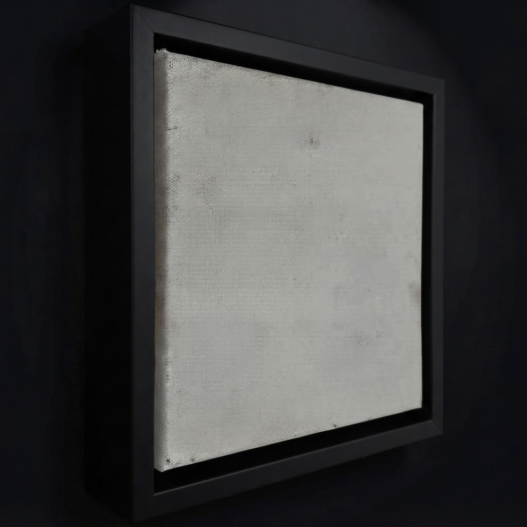 Canvas Floating Frames