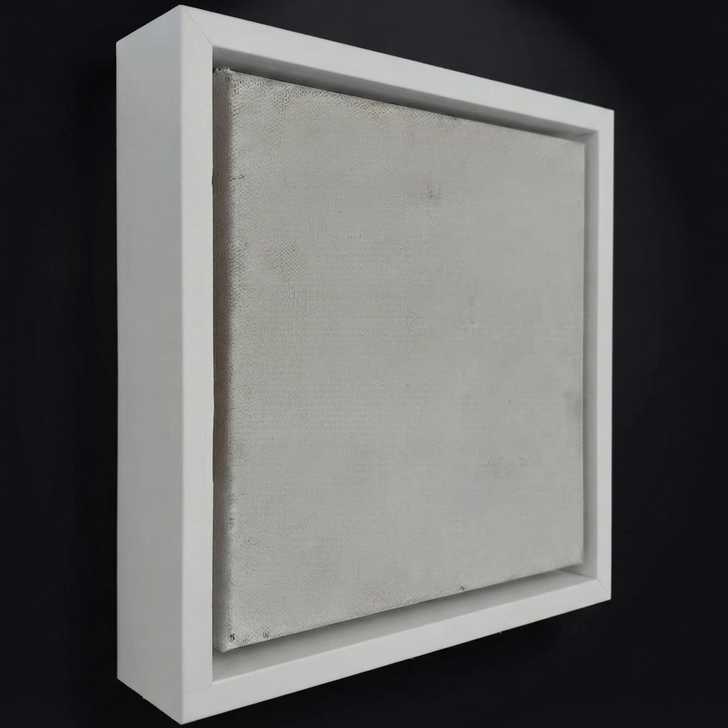 Canvas Floating Frames