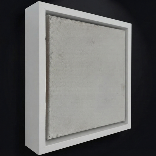 Canvas Floating Frames
